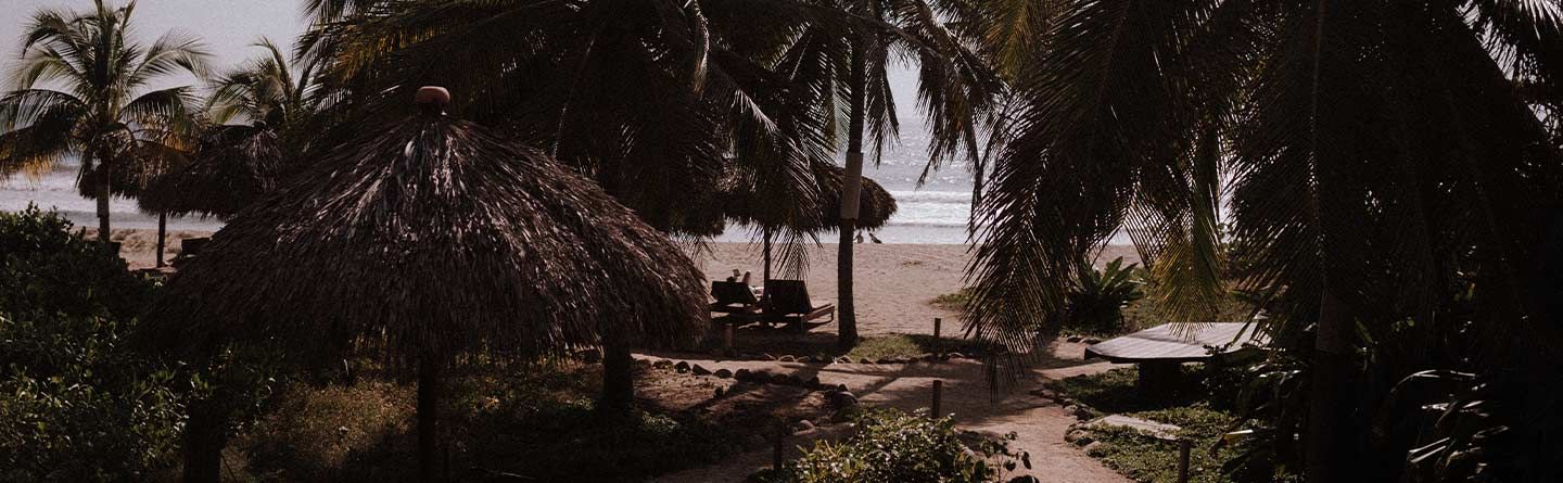 A path leading to a beach surrounded by palm trees.