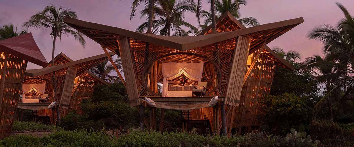 A group of wooden houses are sitting next to each other in the middle of a lush green forest.
