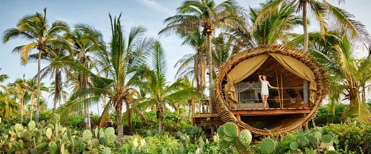 A woman is standing in a tree house surrounded by palm trees.