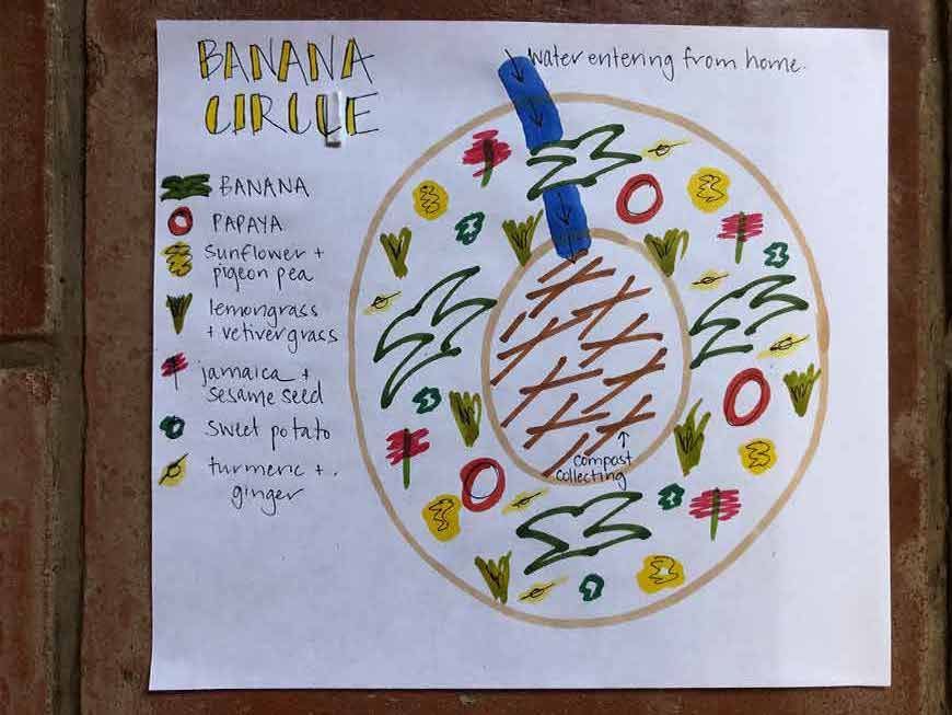 A drawing of a banana circle on a piece of paper