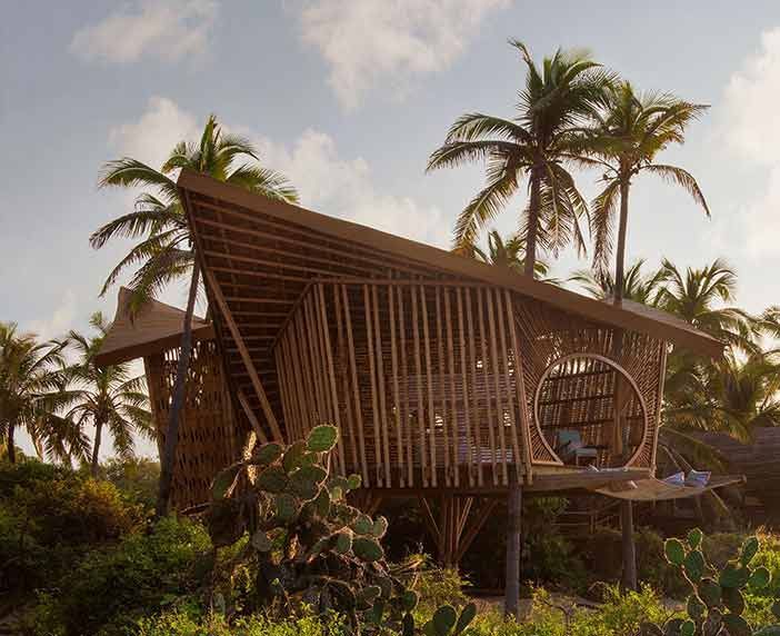 A wooden house is surrounded by palm trees and cactus.