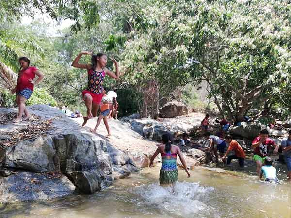 A group of children are playing in a river.