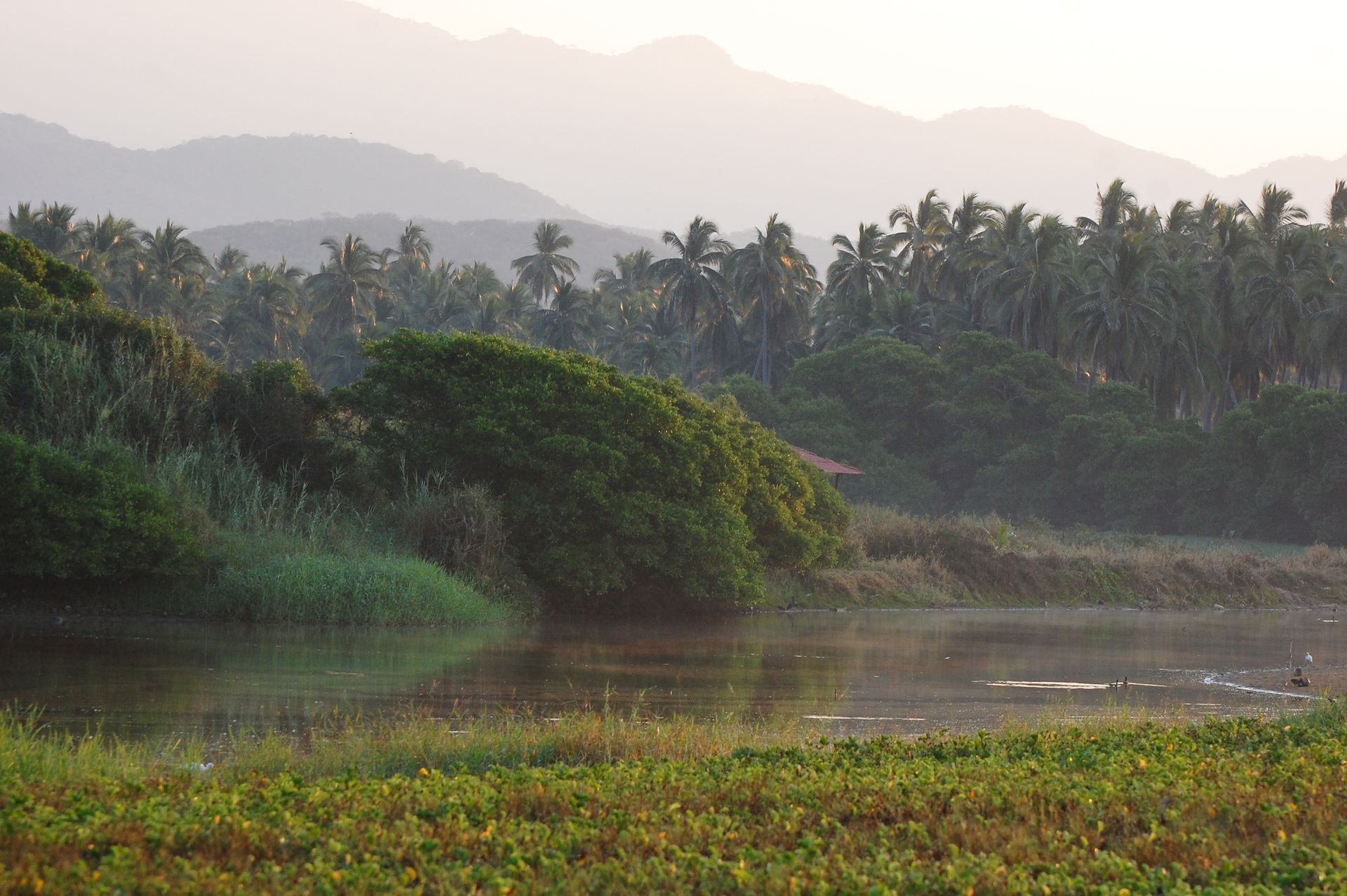 A river surrounded by trees and grass with mountains in the background.