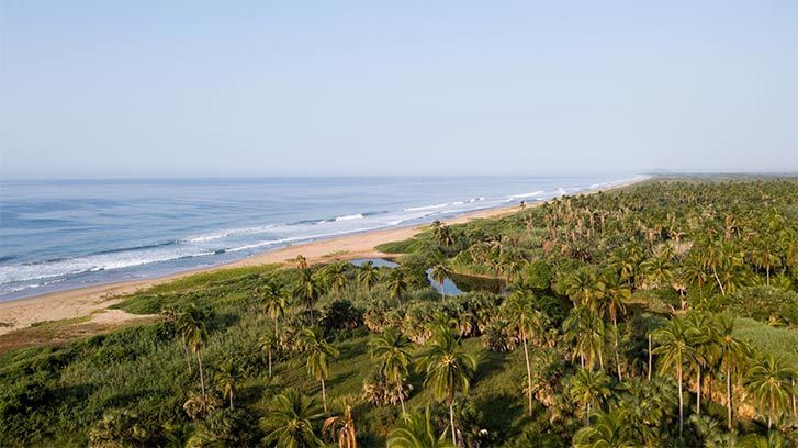 An aerial view of a beach surrounded by palm trees and a body of water.