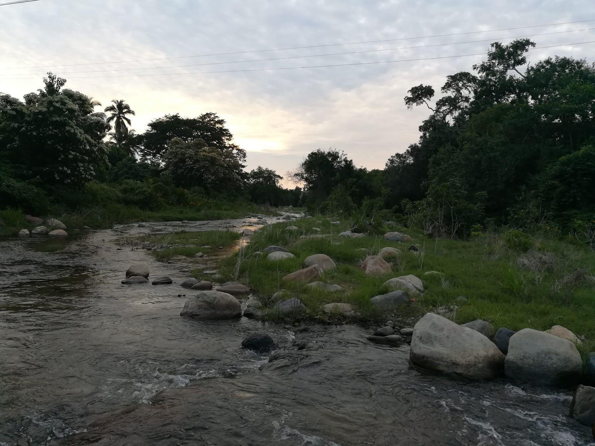 A river flowing through a lush green forest