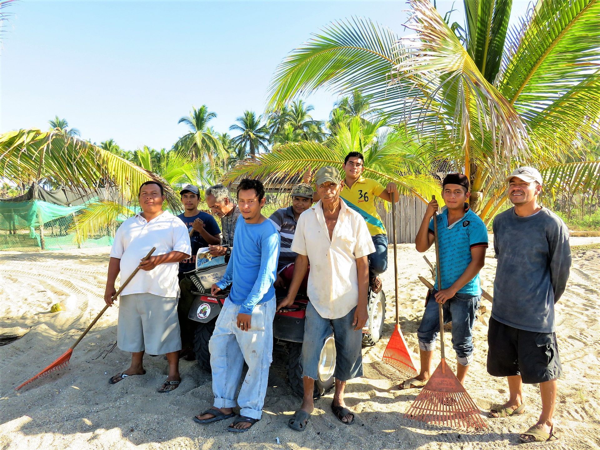 A group of men are posing for a picture in front of a palm tree.