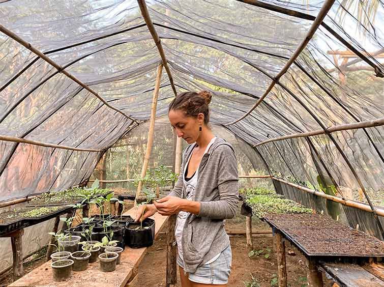 A woman is standing in a greenhouse looking at plants.