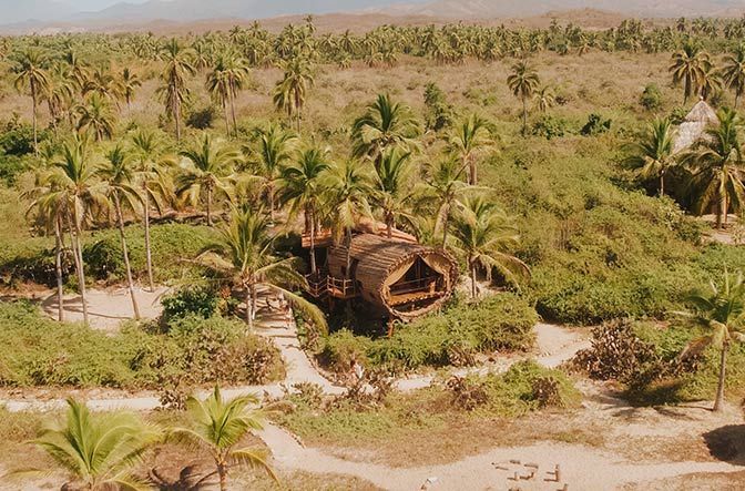 An aerial view of a hut in the middle of a lush green forest