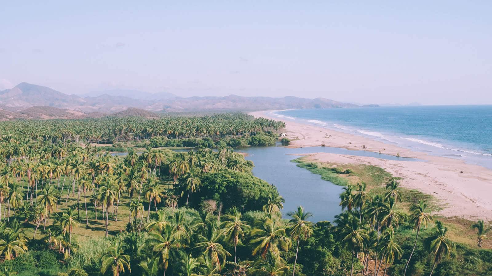 An aerial view of a beach surrounded by palm trees and a river.