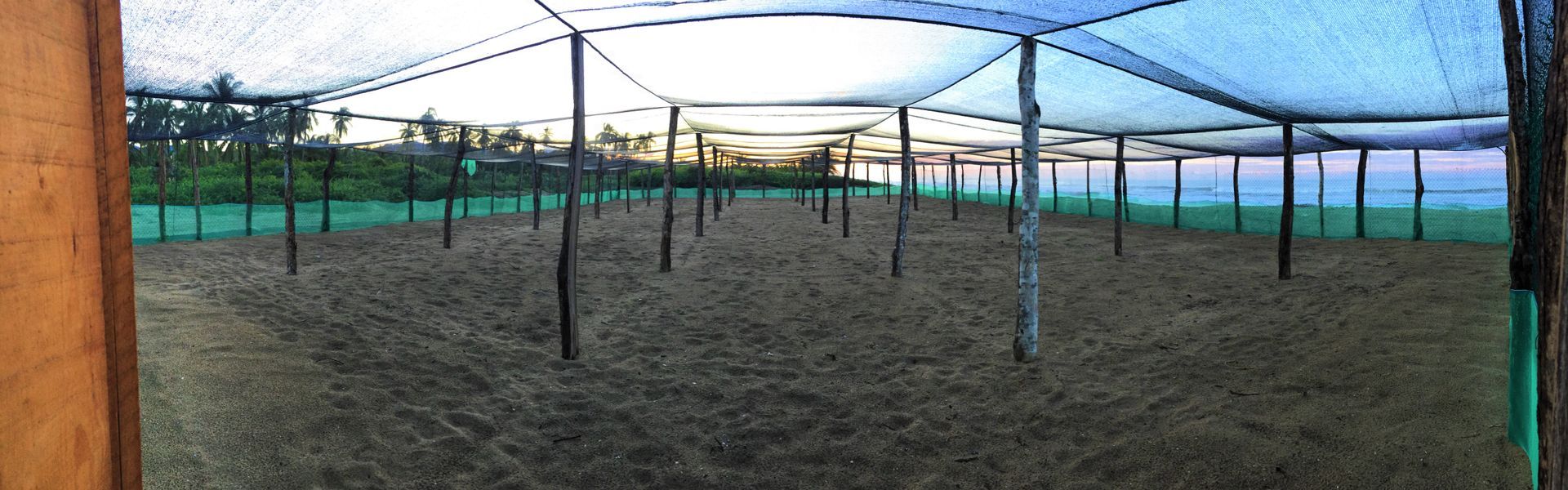 A view of a greenhouse from a window.