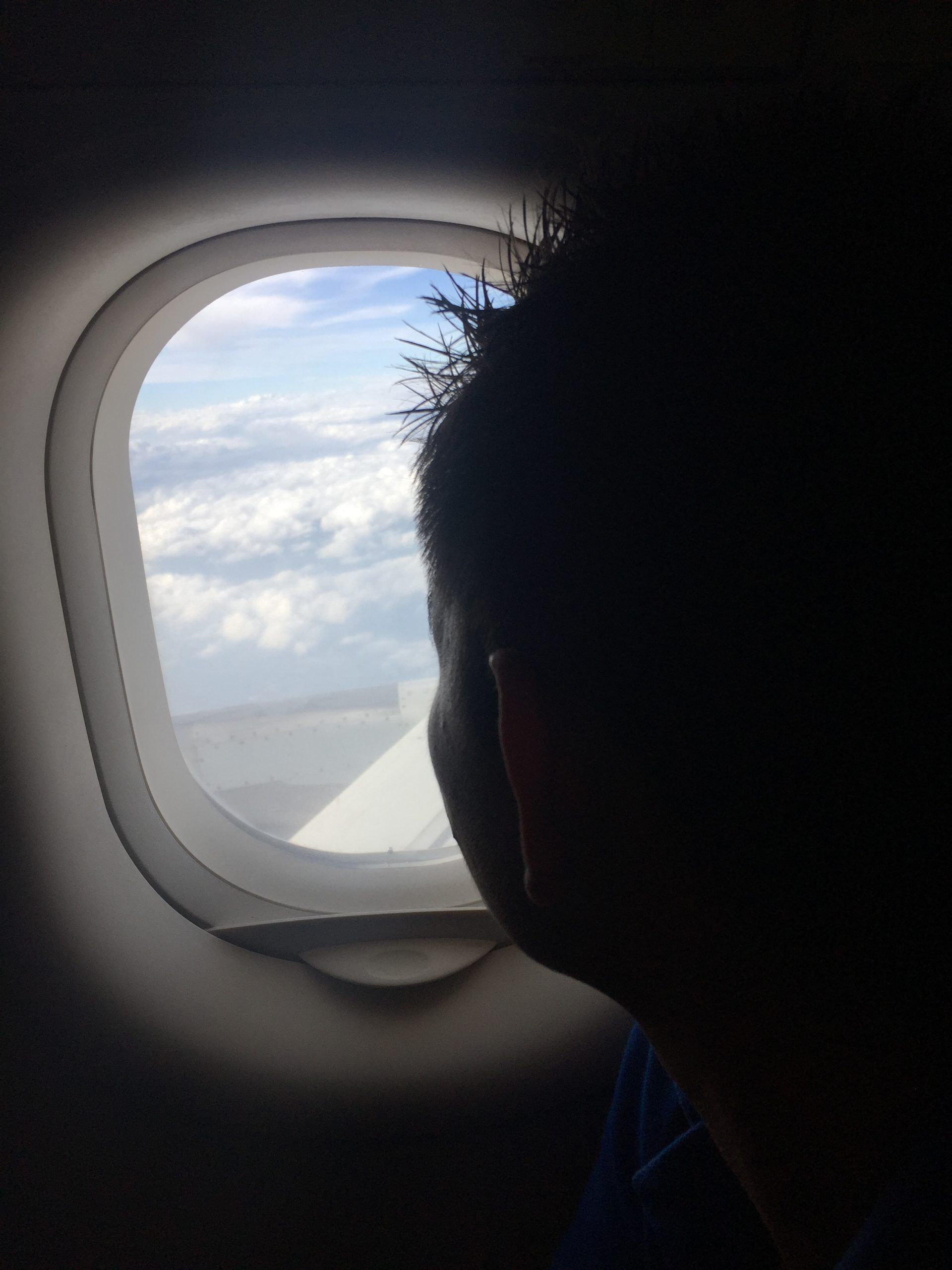 A man is looking out of an airplane window