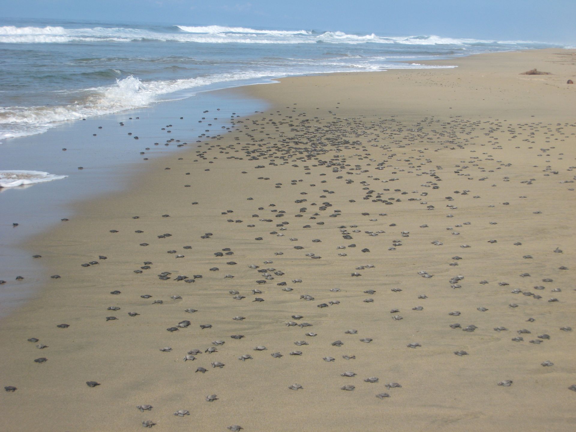 A beach with a lot of footprints in the sand