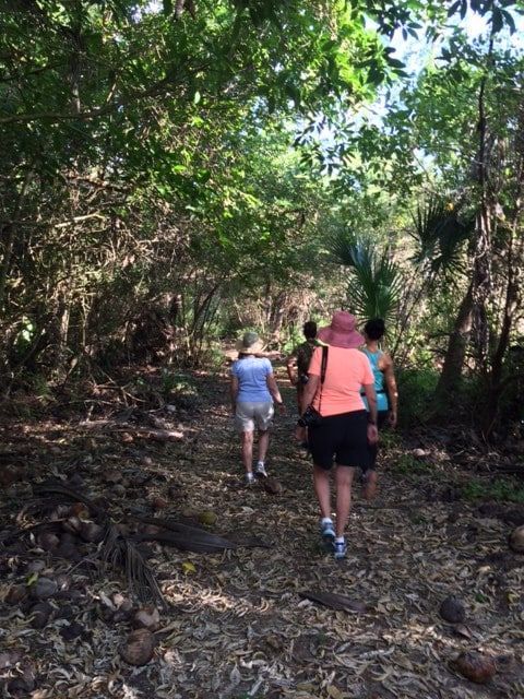 A group of people are walking down a path in the woods