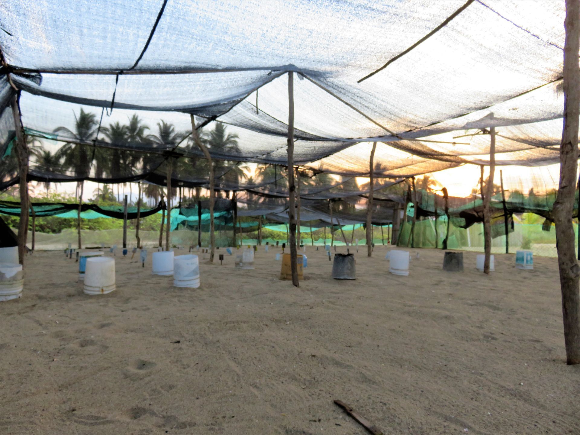 A paintball field with a lot of nets and barrels