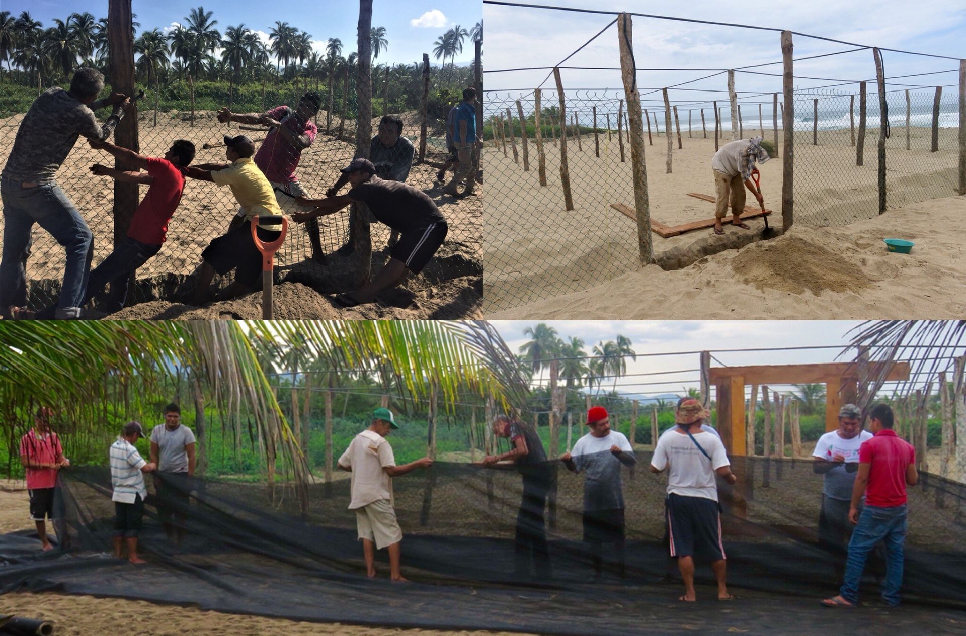 A group of people are working on a fence on a beach