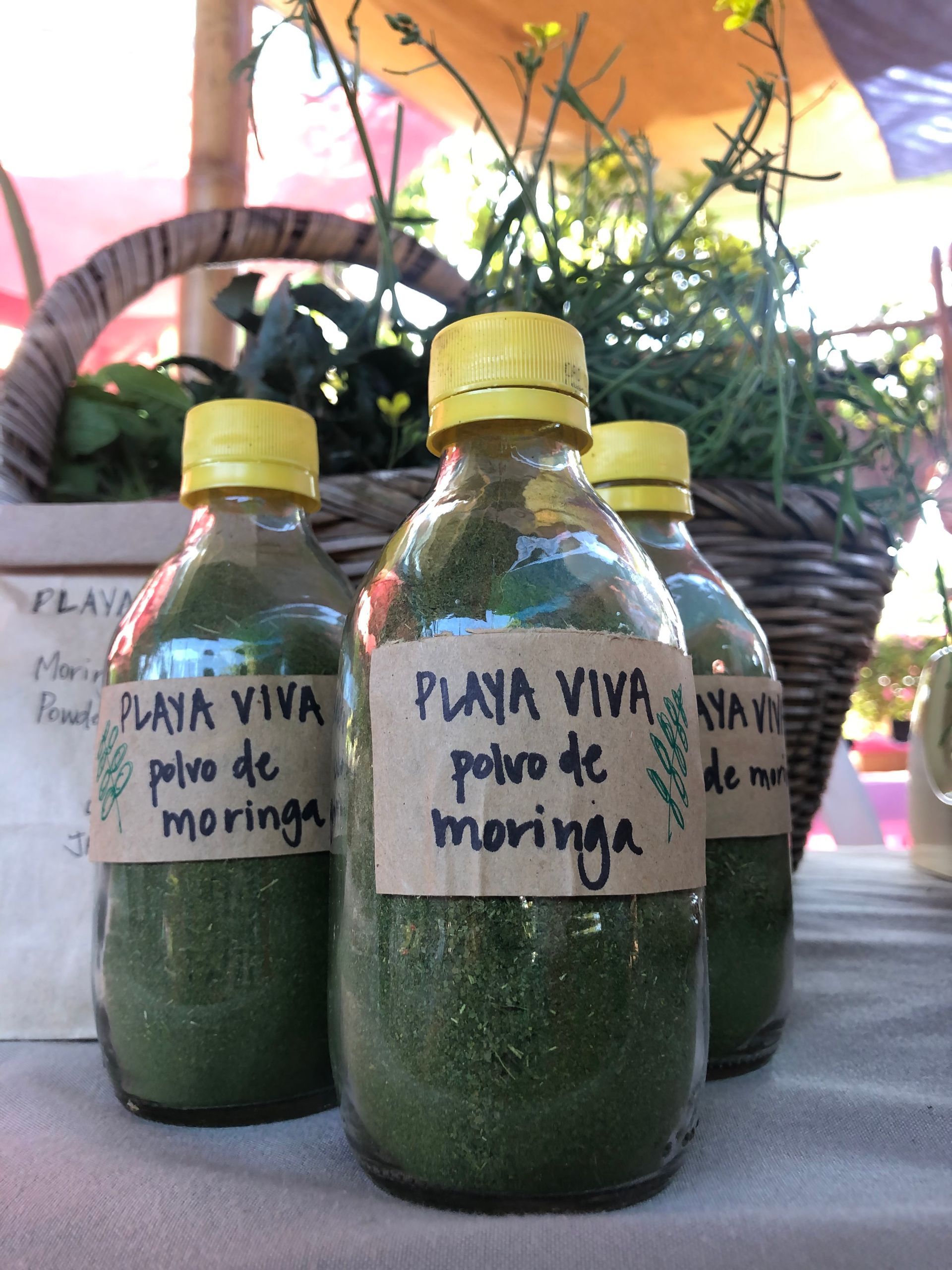 Three bottles of moringa are sitting on a table