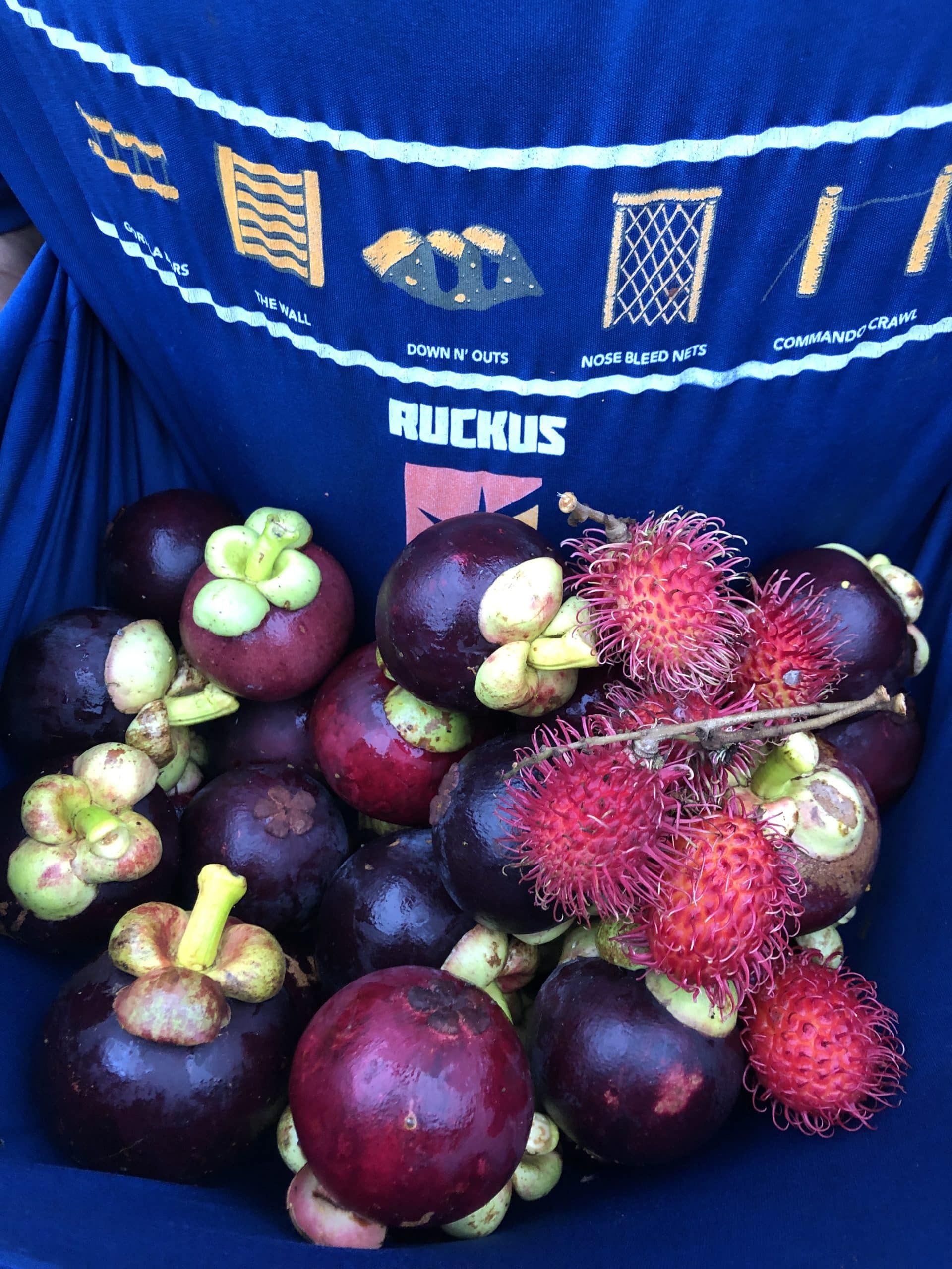 A blue shirt with the word ruckus on it