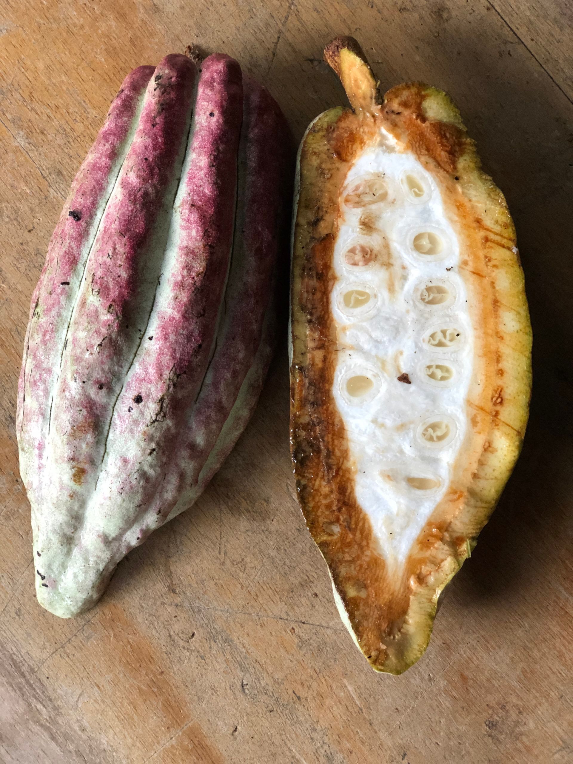 Two cocoa pods are cut in half on a wooden table.