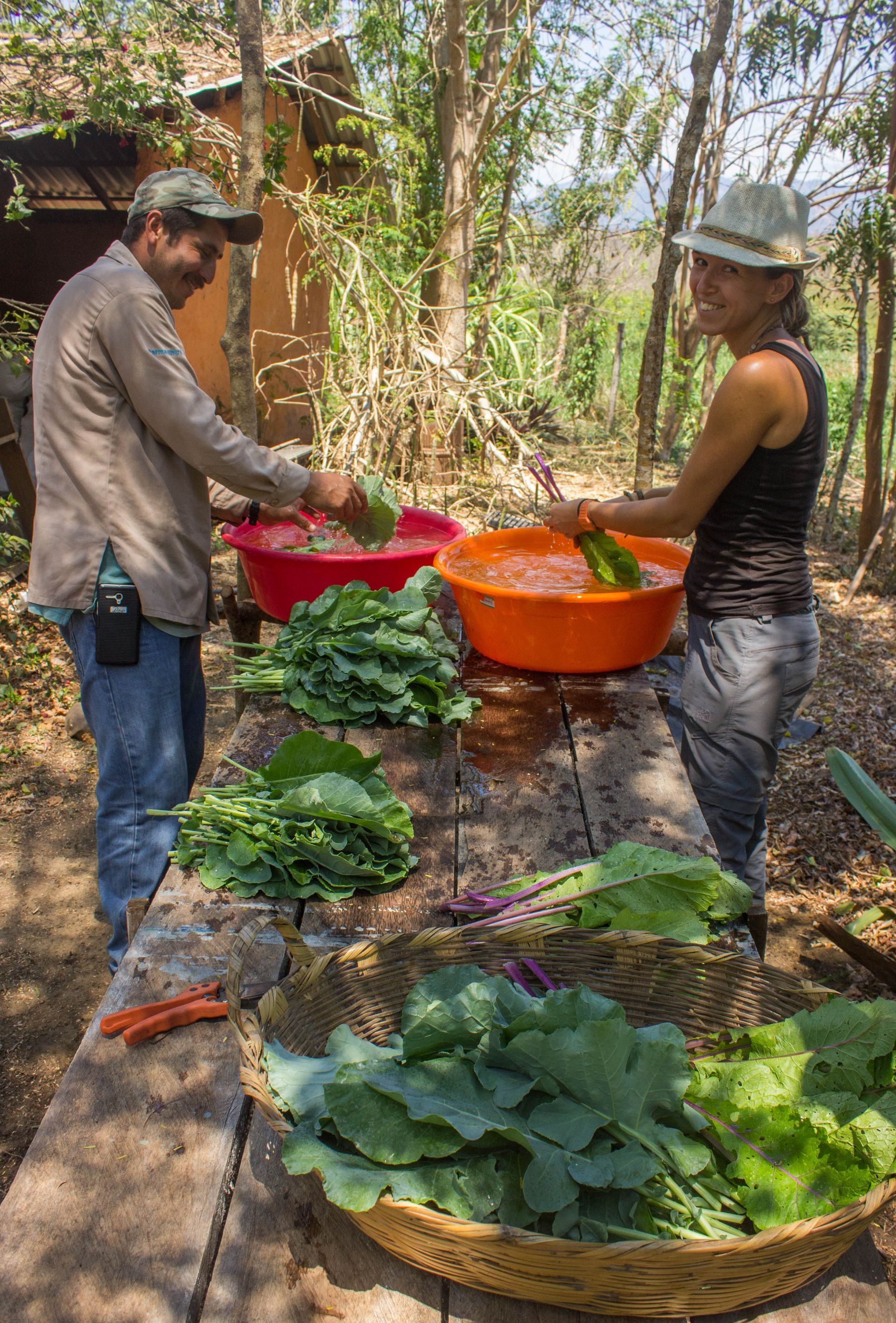 A man and a woman are standing at a table with baskets of vegetables.