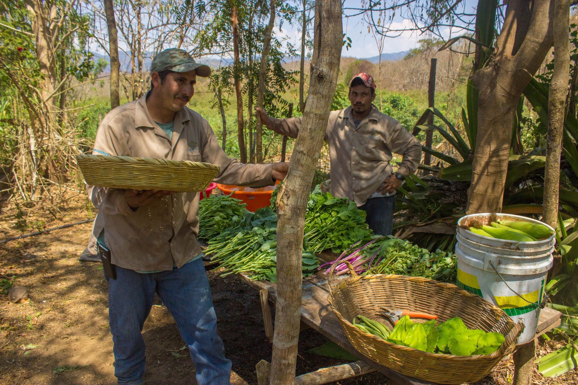 Two men are standing in a field holding baskets of vegetables.