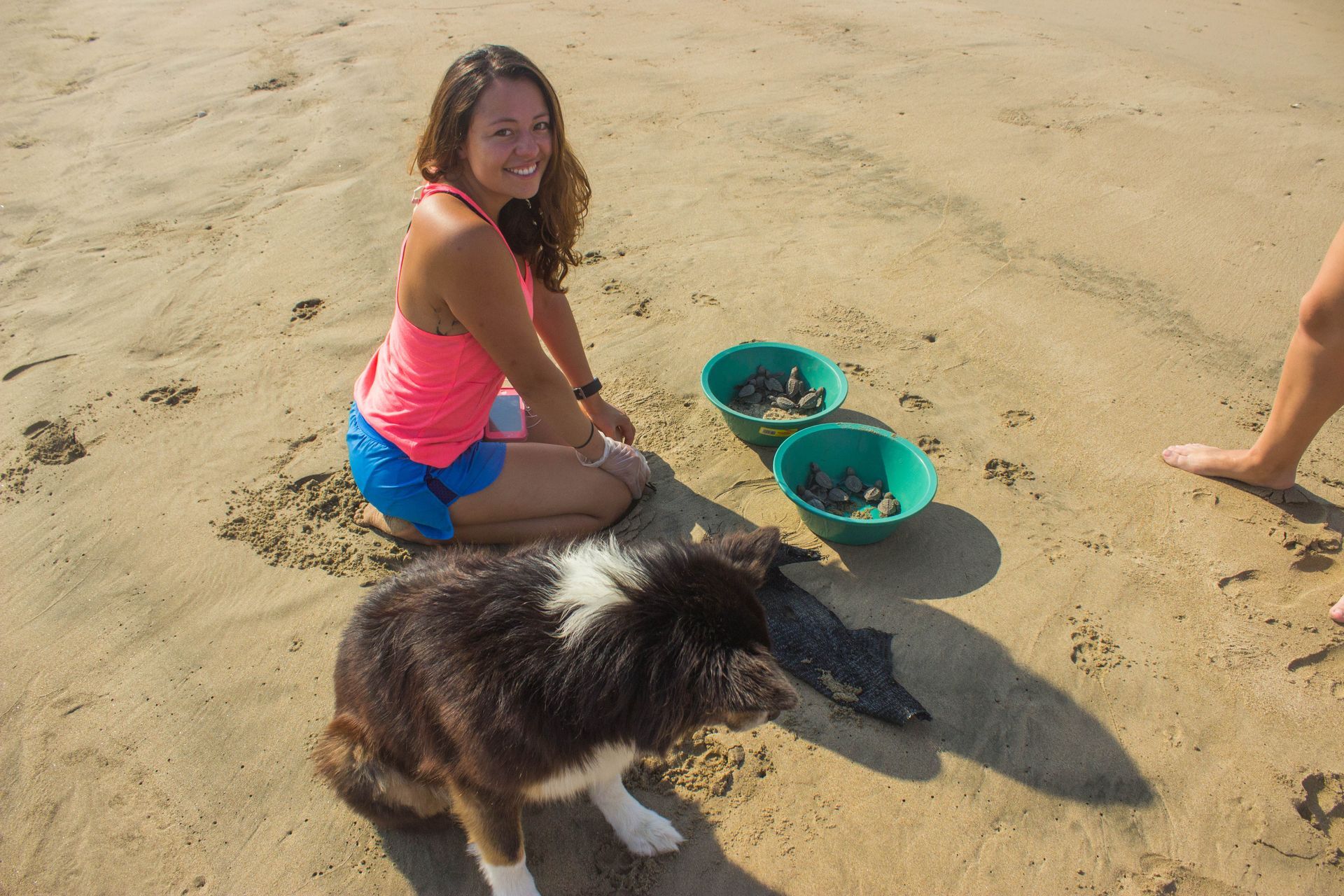 A woman is kneeling down next to a dog on the beach.