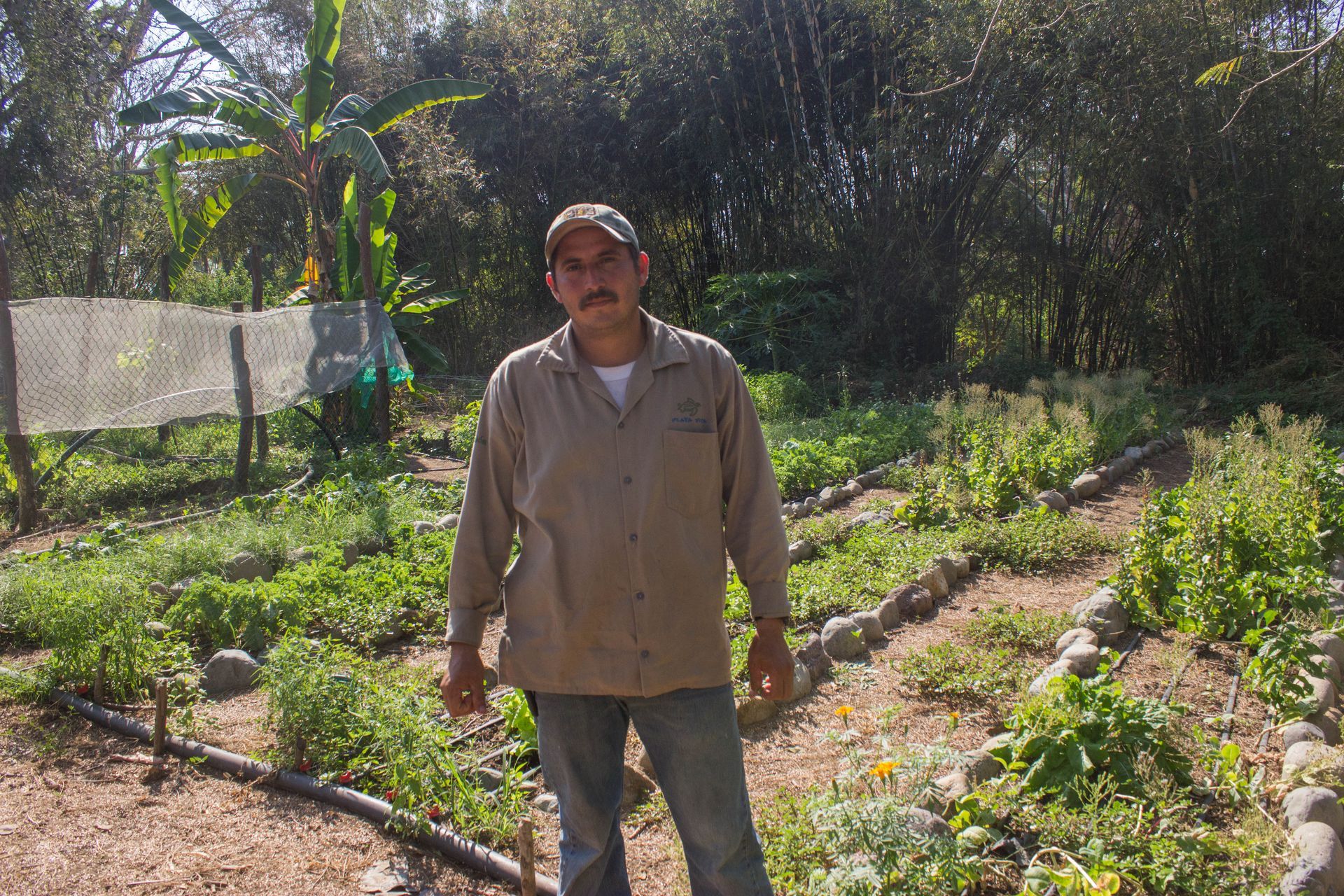 A man is standing in a field of plants and trees