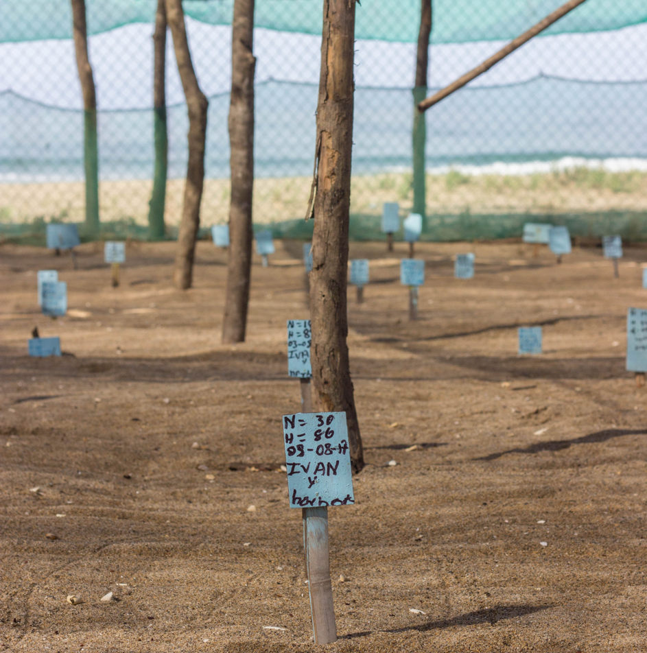 A fenced in area with trees and a sign that says ivan