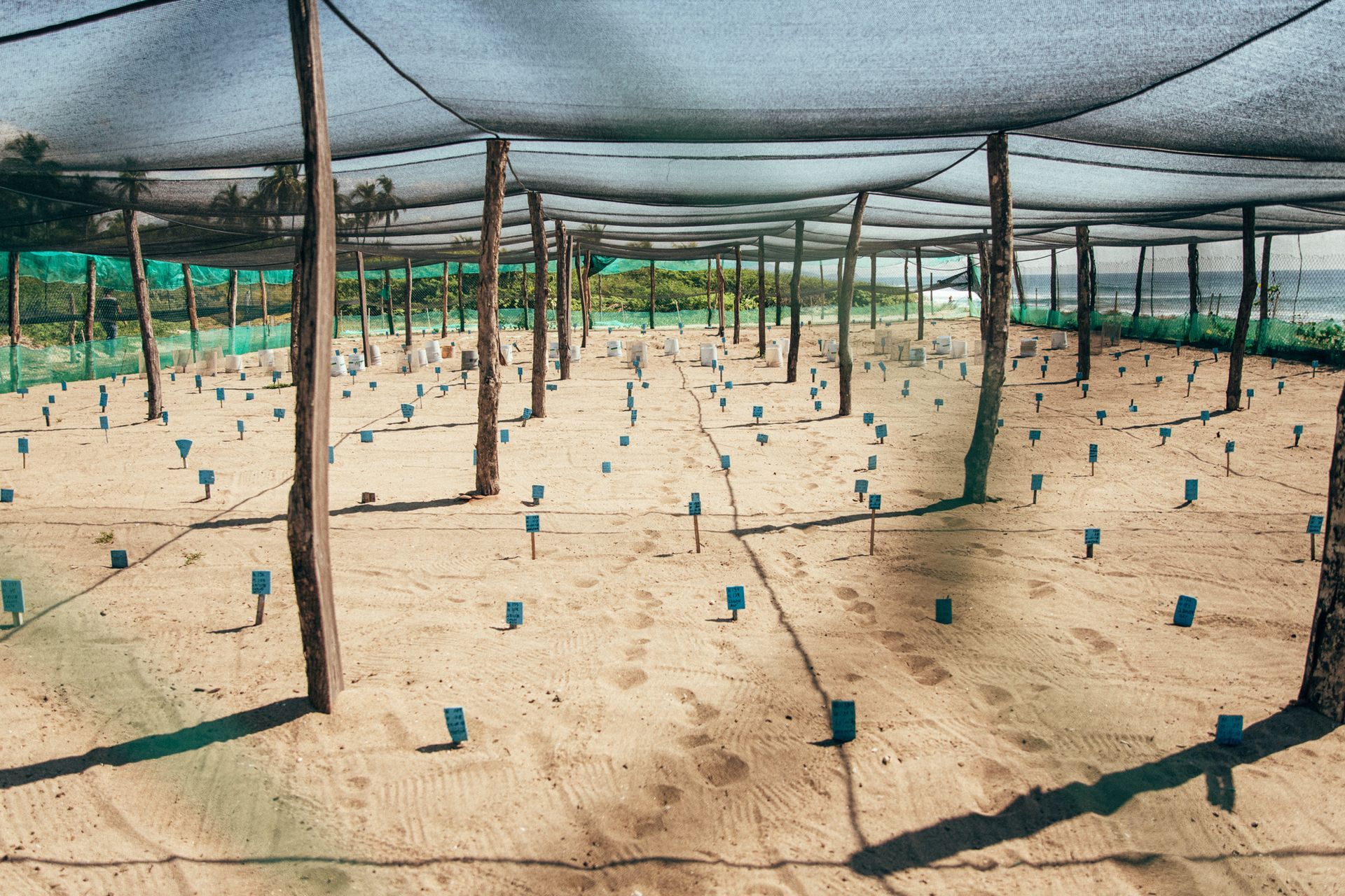 A row of shade nets are covering a field of dirt.