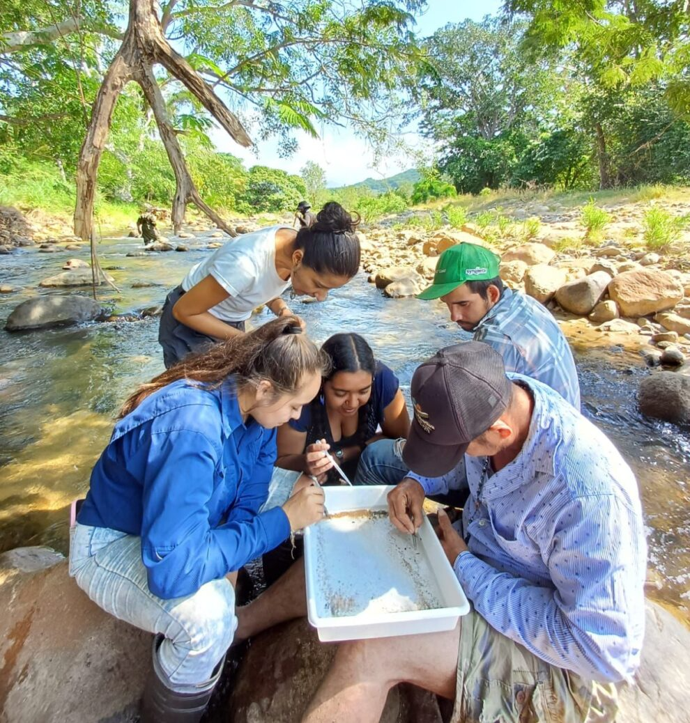 An elderly man is sitting on a wooden fence in a field.