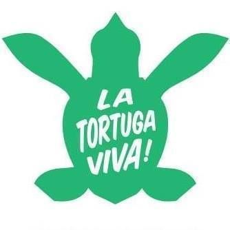 A green turtle with the words la tortuga viva written on it.