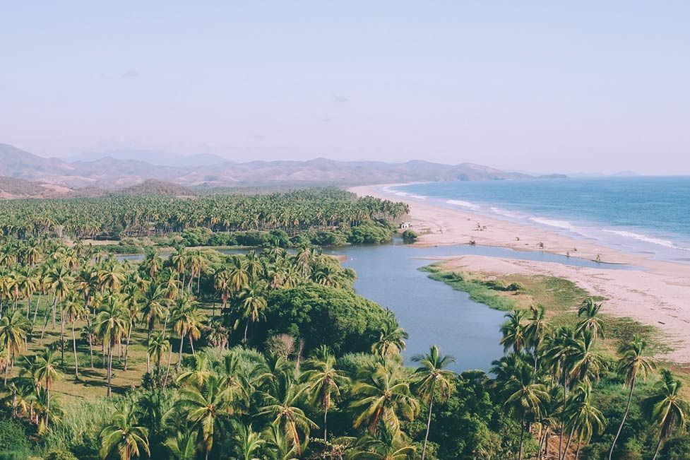 An aerial view of a beach surrounded by palm trees and a river.