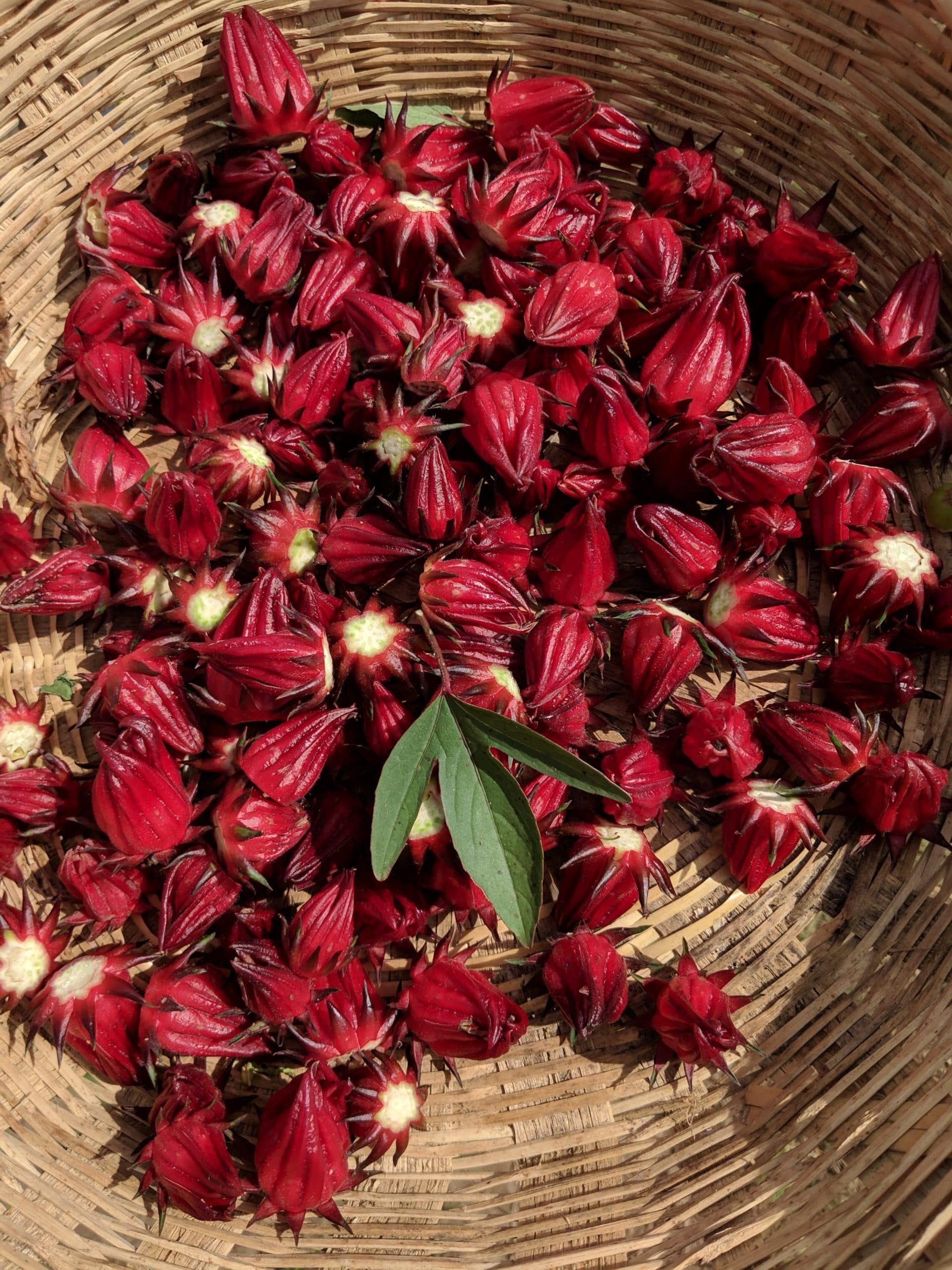 A basket filled with red flowers and green leaves.