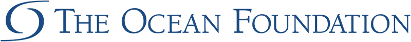 The ocean foundation logo on a white background