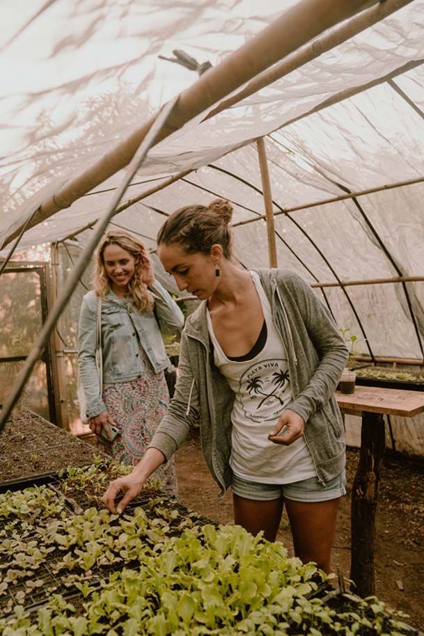 Two women are standing in a greenhouse looking at plants.