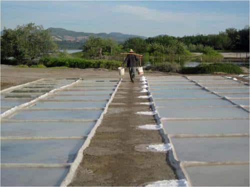 A man is walking down a path with buckets on his shoulders.