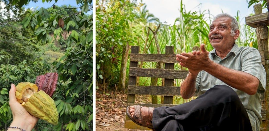 A person is holding a cocoa pod next to a man sitting in a field.