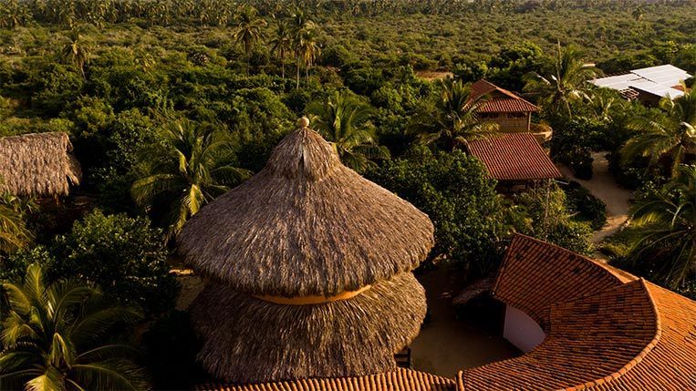 An aerial view of a thatched hut in the middle of a lush green forest.