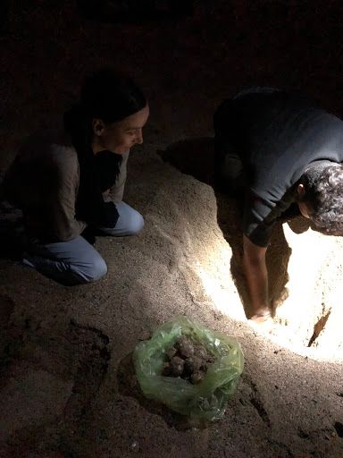 A man and a woman are kneeling in the sand looking at a bag of potatoes.