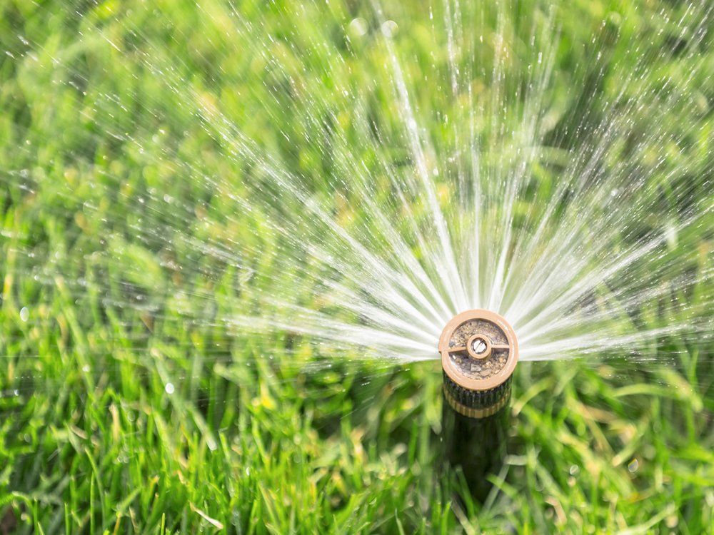 A close up of a sprinkler spraying water on a lush green lawn.