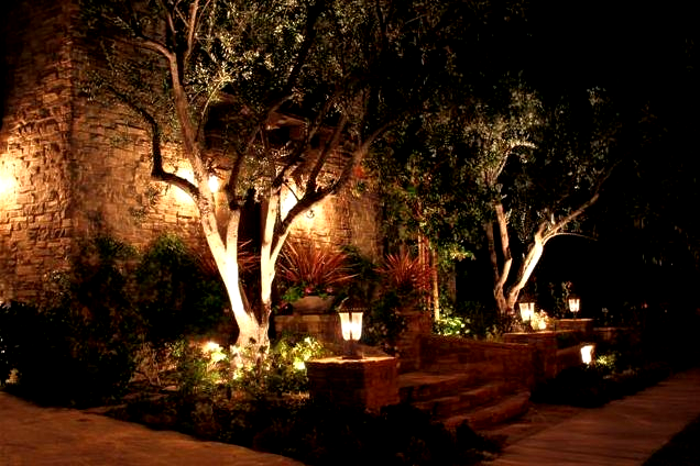A garden with trees and stairs lit up at night.