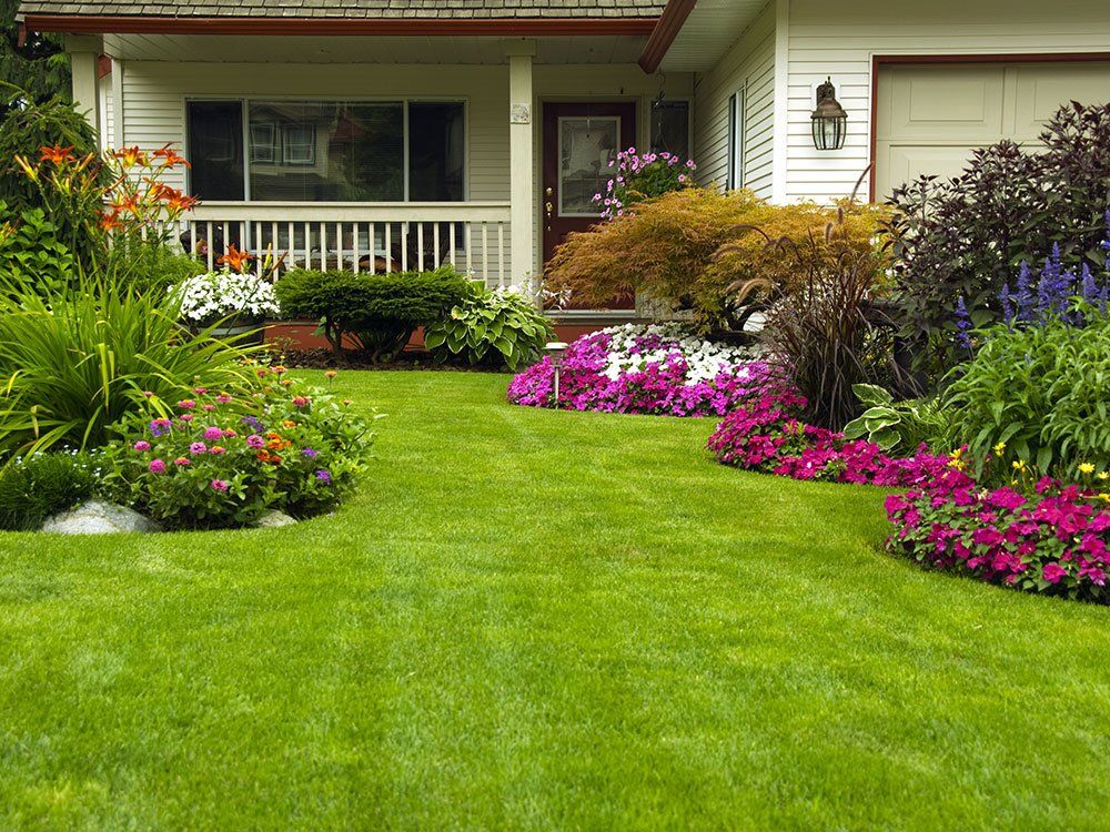 A house with a lush green lawn and flowers in front of it