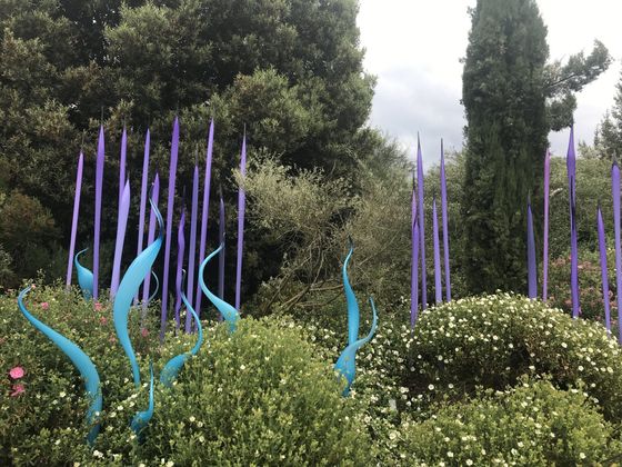 Garden with needle sculptures used to represent acupuncture