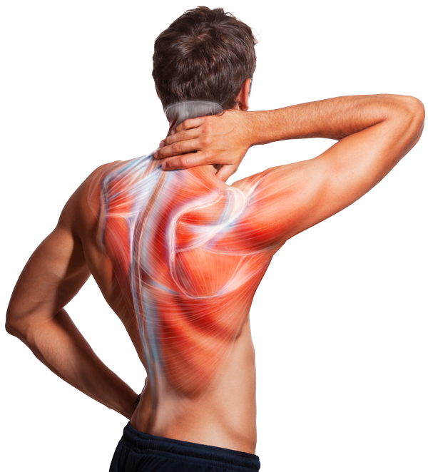 Remedial Massage at Thai Delight Therapeutic Massage in Potts Point and Pyrmont