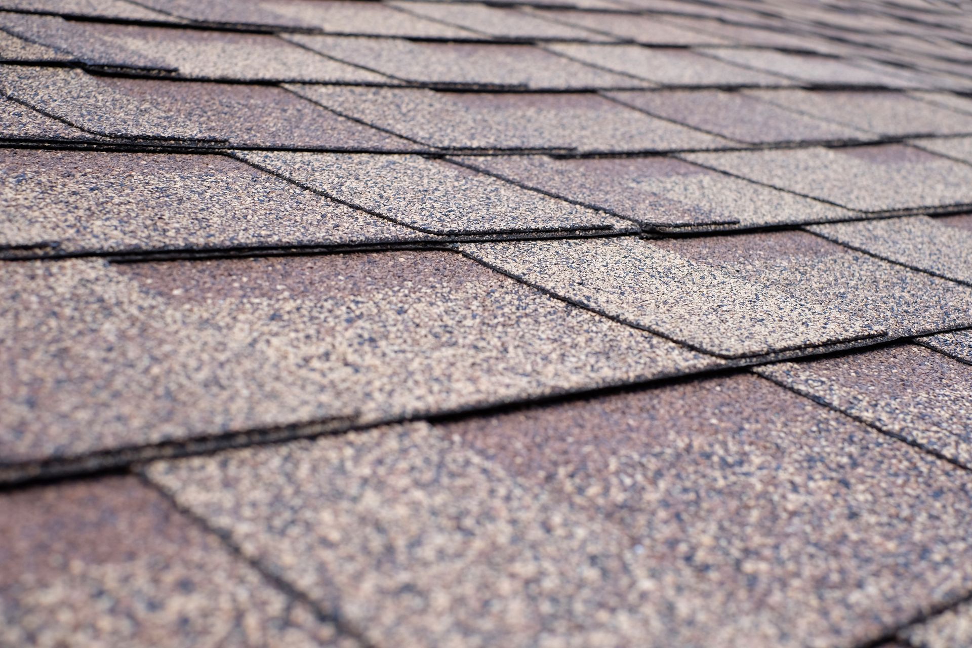 Close up view on asphalt roofing shingles.