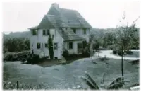 Two-story house with gabled roof, surrounded by greenery, on a sunny day.