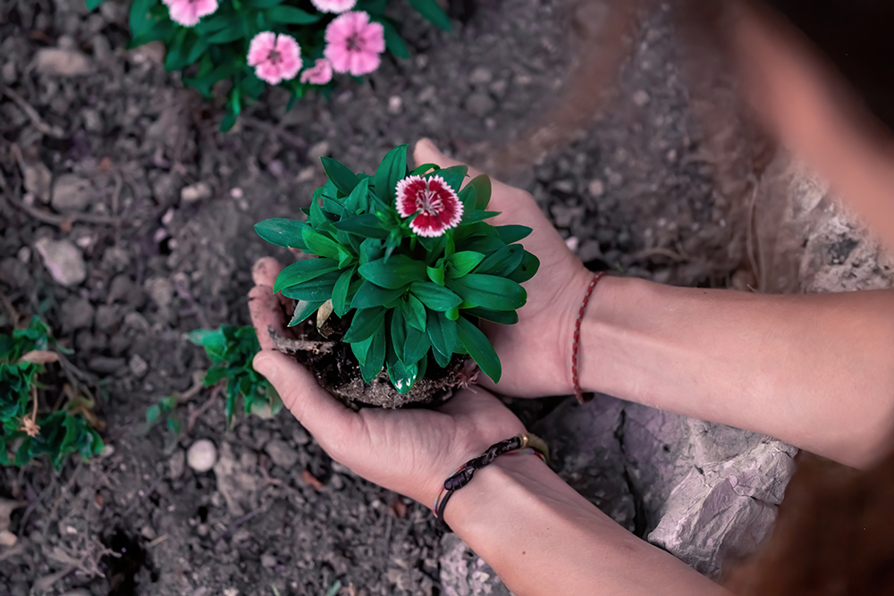A black can is sitting on a table next to a vase of flowers.