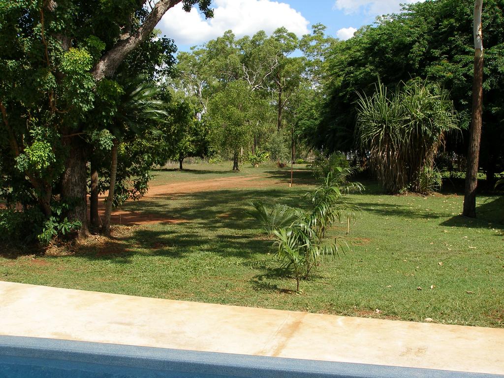 Caravan Park & Camping — Pandanus on Litchfield in Rum Jungle, NT