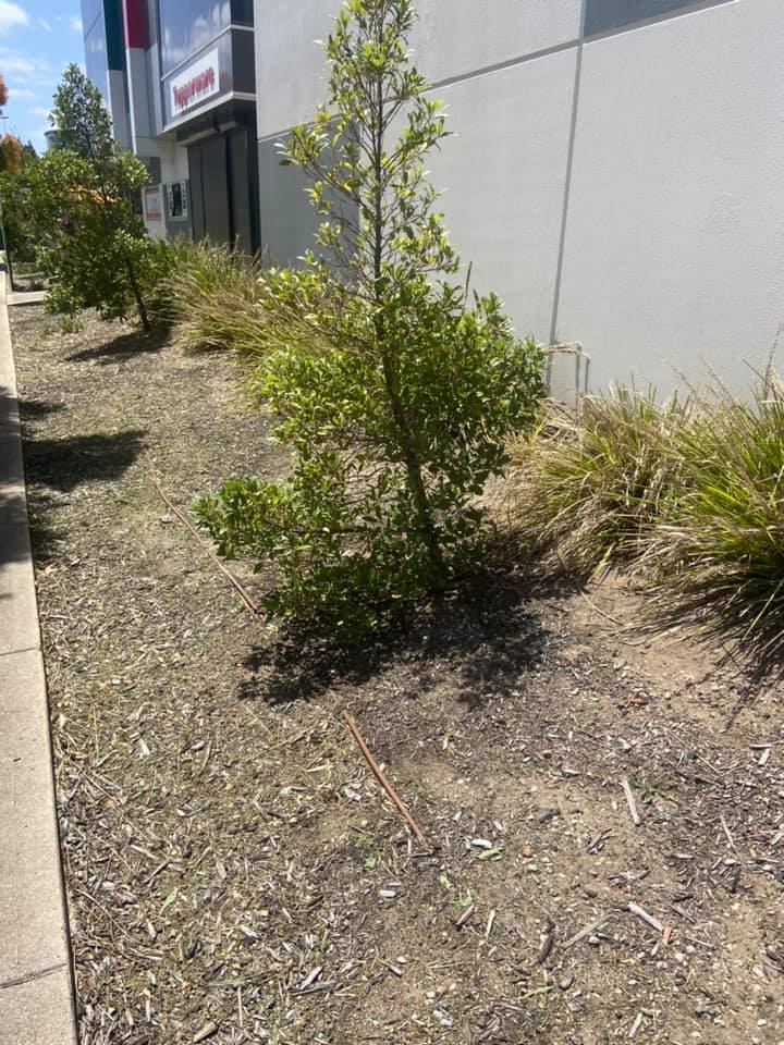 Garden Maintenance in Melbourne