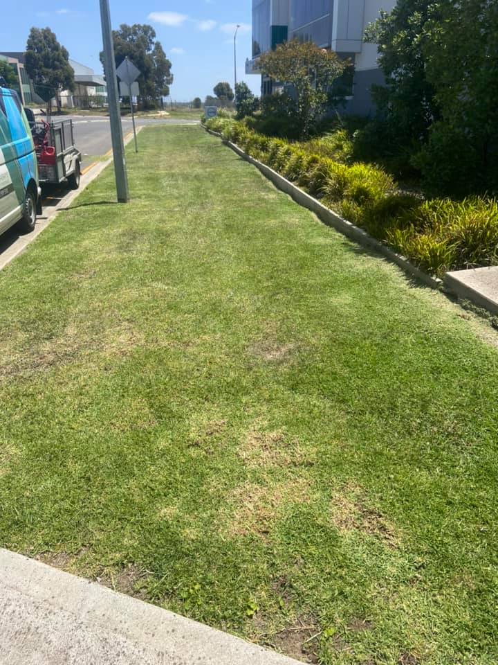 Garden Maintenance near me