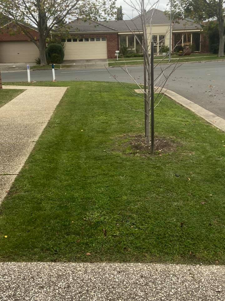 Landscaping in Lake Gardens